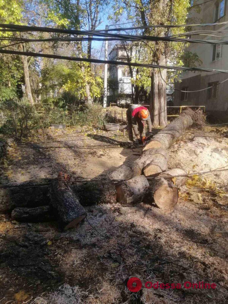 Під час негоди в Одесі обвалилося декілька дерев