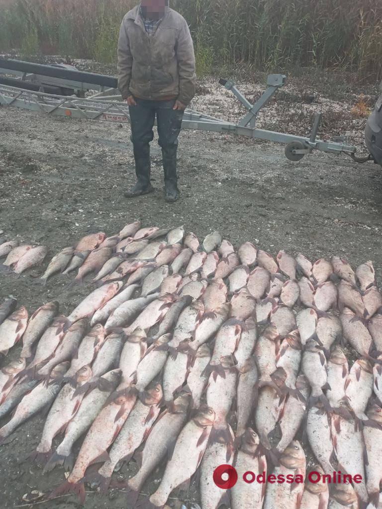 В Одесской области двое браконьеров незаконно выловили 110 килограммов рыбы