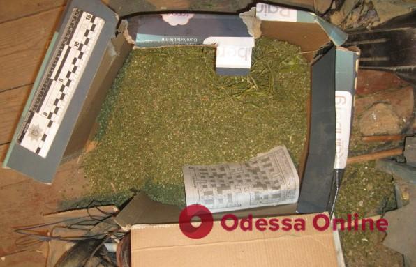В доме жителя Одесской области нашли шесть килограммов каннабиса