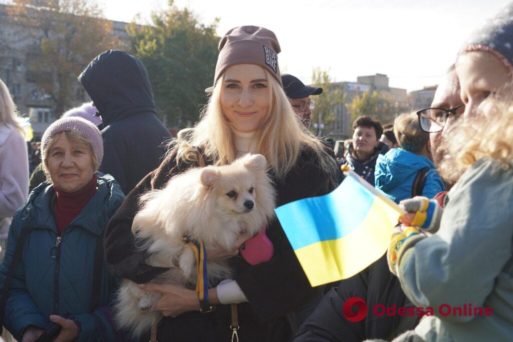 «За каждый освобожденный город мы платим очень высокую цену», — Зеленский