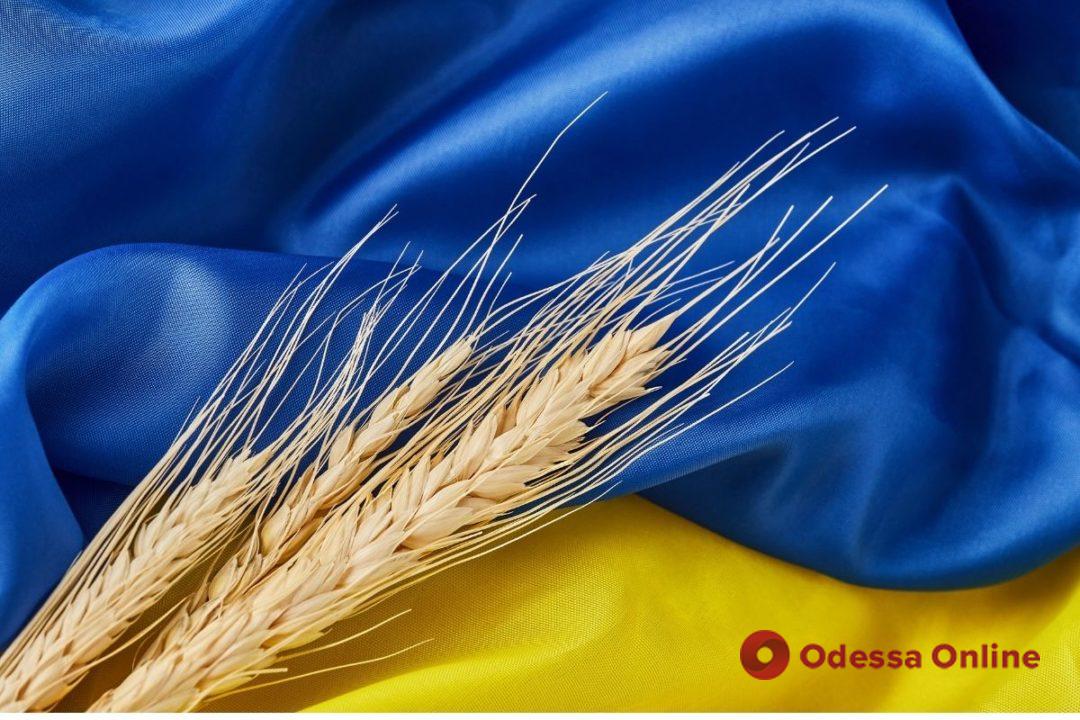 Ініціатива Grain From Ukraine вже акумулювала понад 180 мільйонів доларів