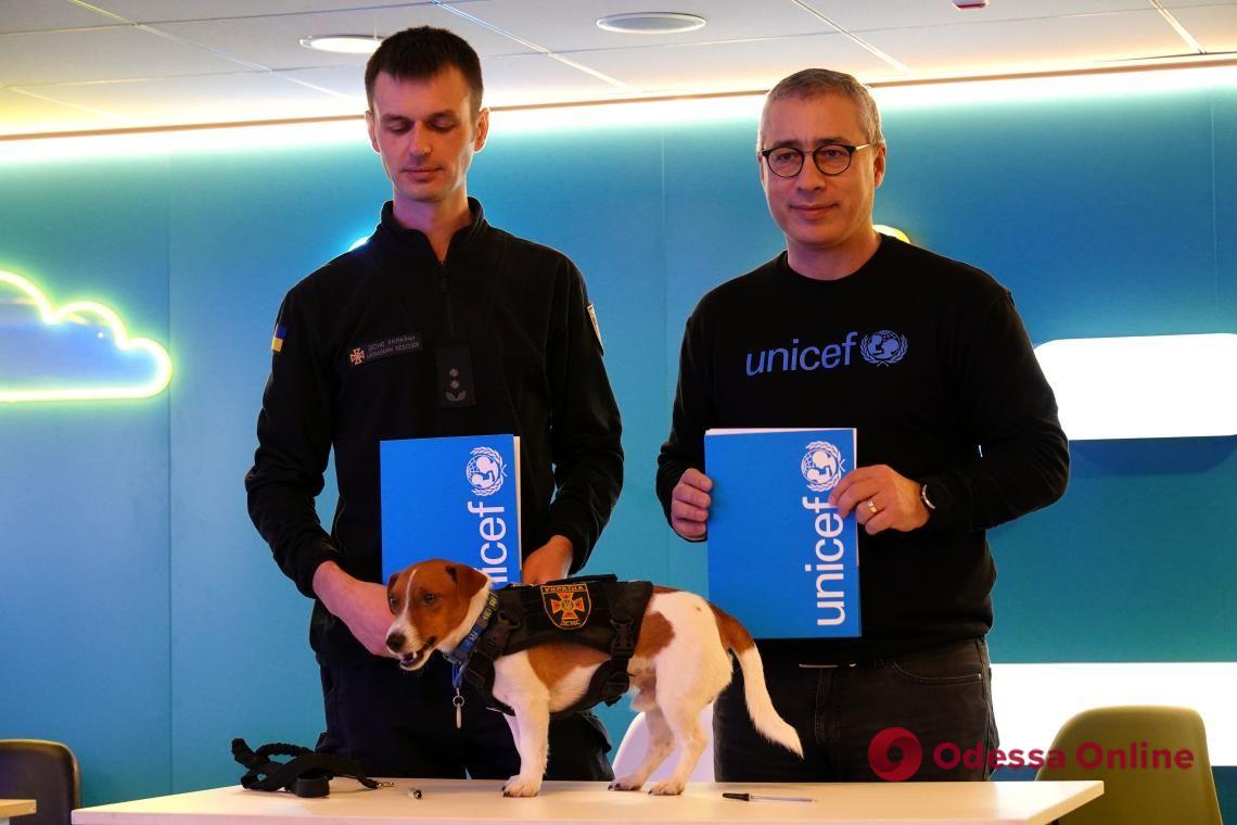 Пес Патрон получил от ЮНИСЕФ в Украине титул «Пса Доброй Воли»