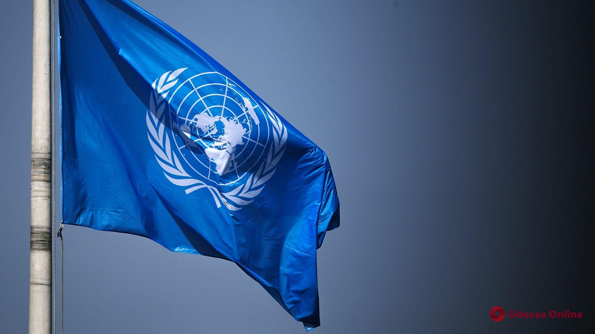 ООН назначила нового координатора Черноморской зерновой инициативы