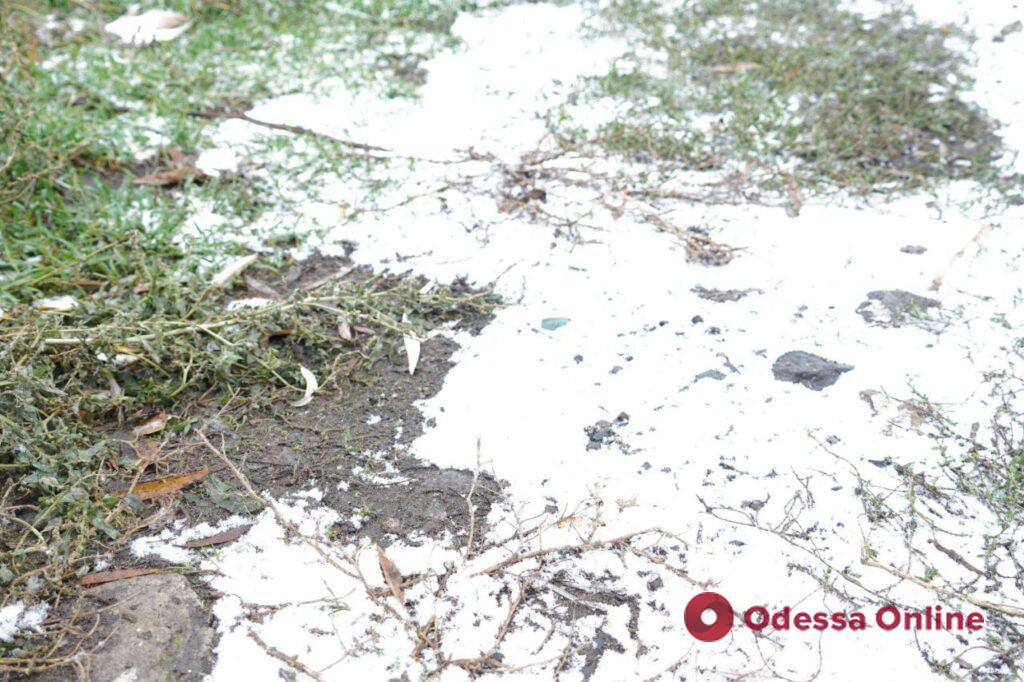 Первый настоящий снегопад этой зимы в Одессе (фоторепортаж)