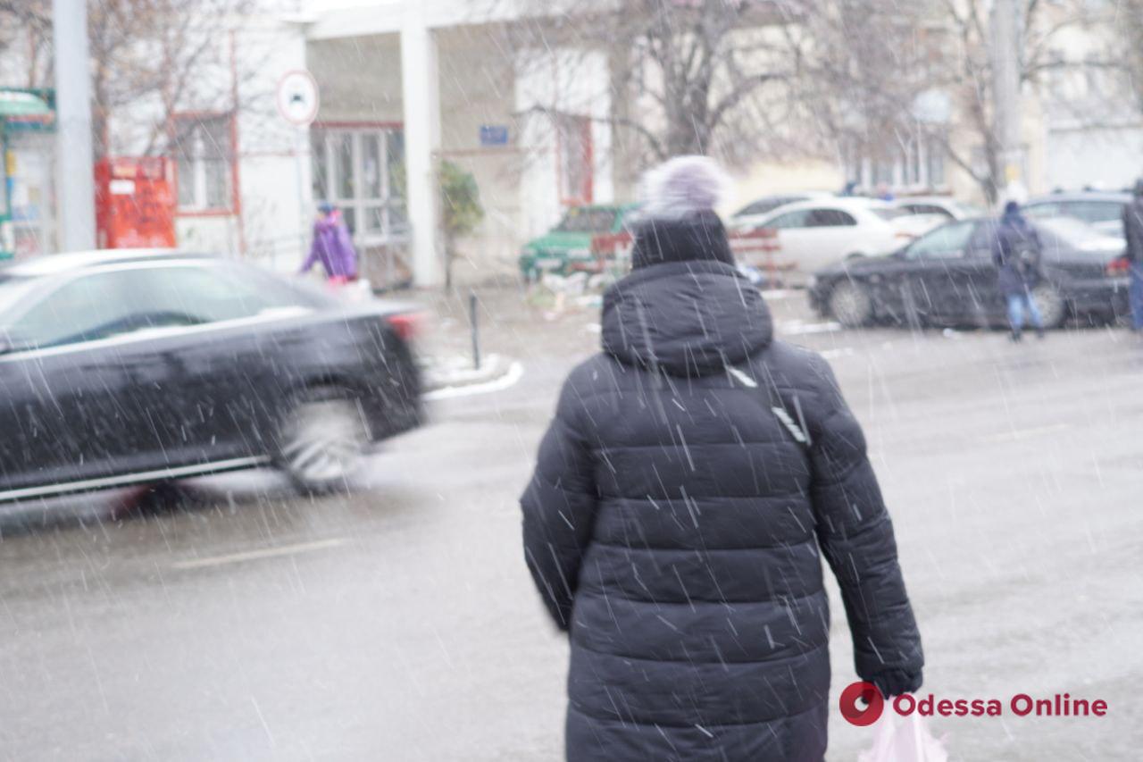 Перший справжній снігопад цієї зими в Одесі (фоторепортаж)