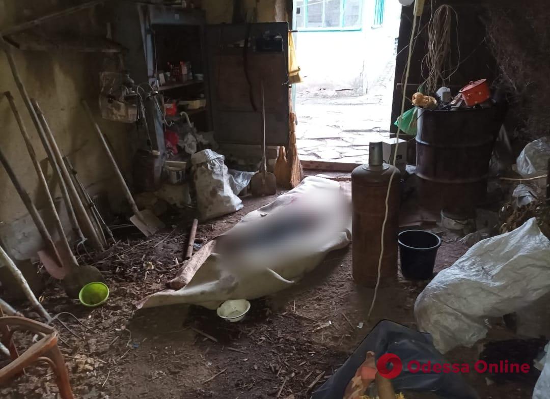 В Одесской области мужчина до смерти забил родного брата и спрятал его тело в гараже
