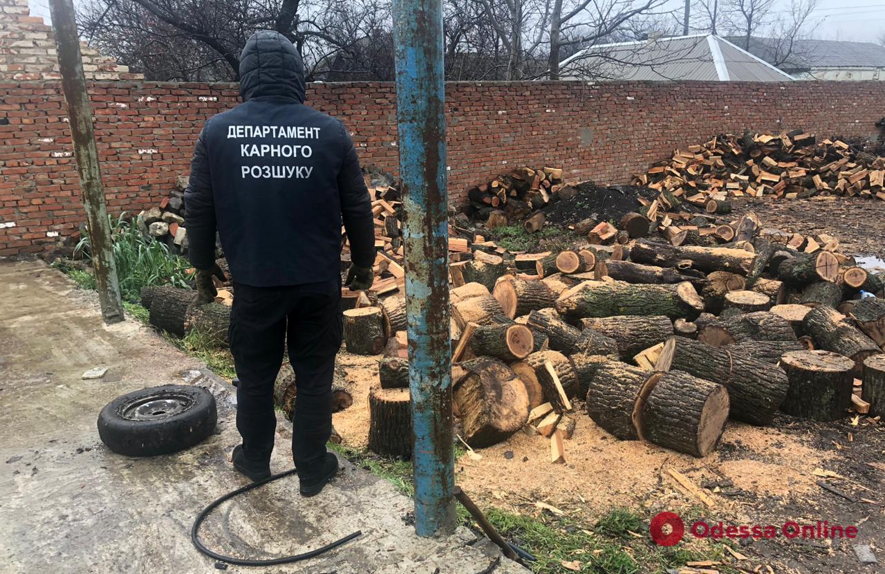 В Одесской области разоблачили преступную группу, которая занималась незаконной вырубкой и сбытом лесоматериалов
