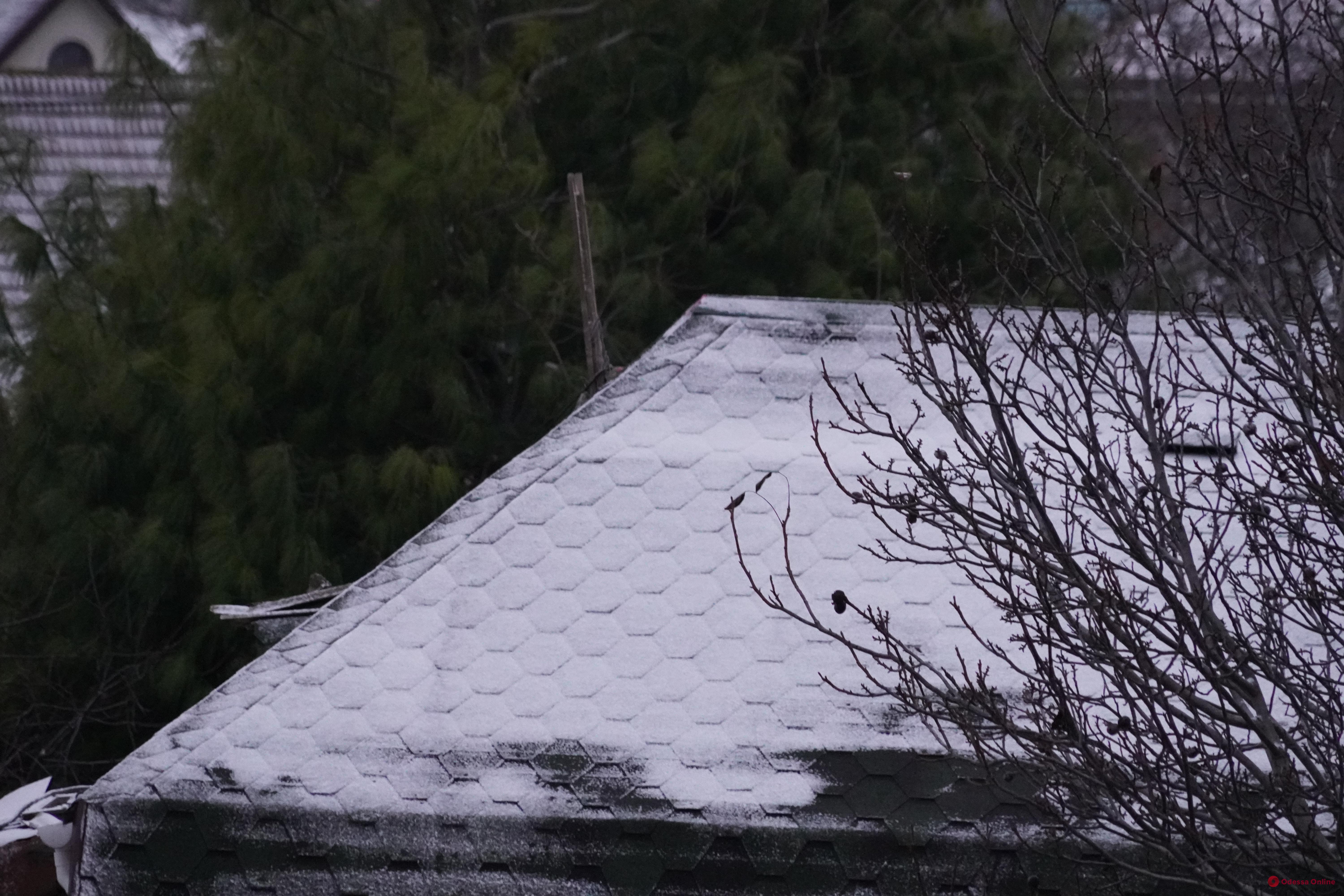 Одесу припорошило першим снігом (фото)