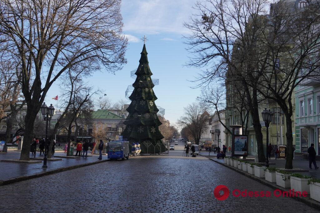 На Дерибасовской украшают новогоднюю елку (фото)
