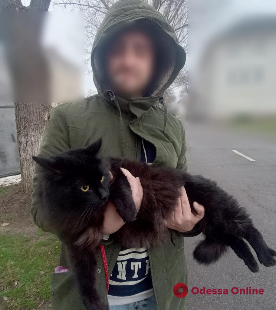 В Одесской области мужчина пытался незаконно попасть в Молдову с котом