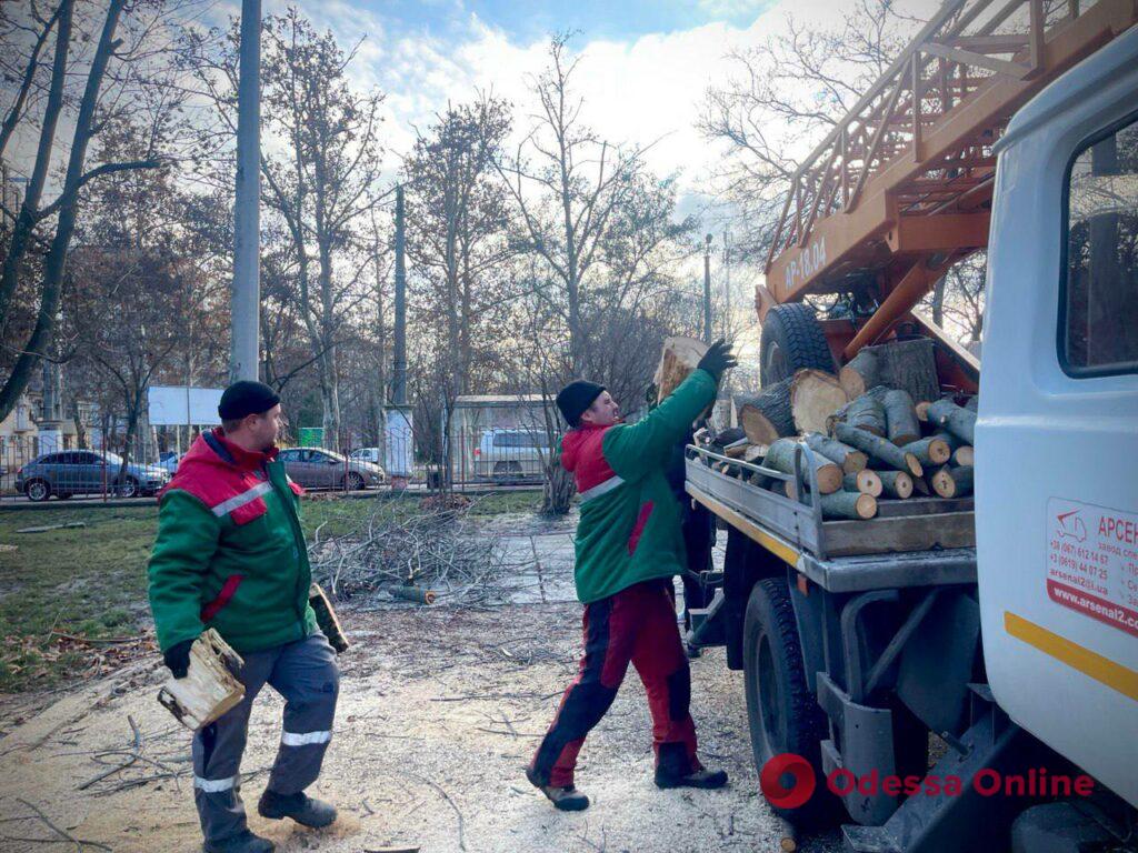 В Одессе продолжают заготавливать дрова для булерьянов (фото)