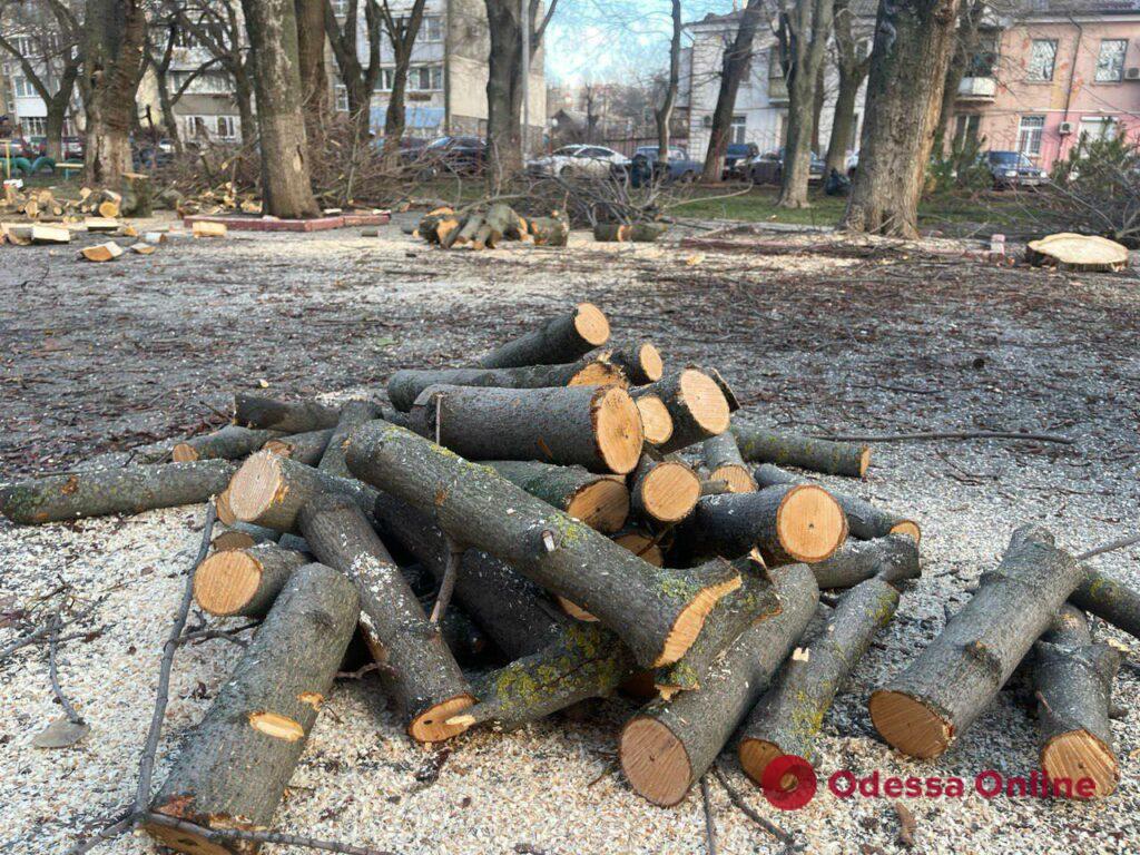 В Одессе продолжают заготавливать дрова для булерьянов (фото)