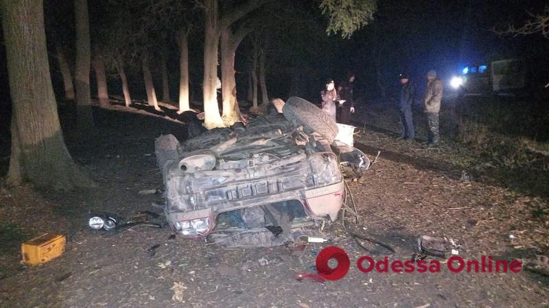На Одещині легковик з’їхав у кювет та зіткнувся з деревом — водій помер у лікарні