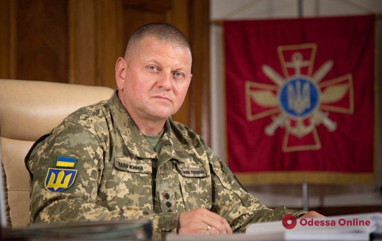 Главнокомандующий ВСУ Валерий Залужный прокомментировал ход мобилизации в Украине
