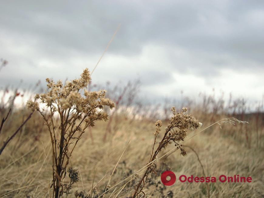 Похмуро та прохолодно: прогноз погоди на 6 січня у Одесі та області