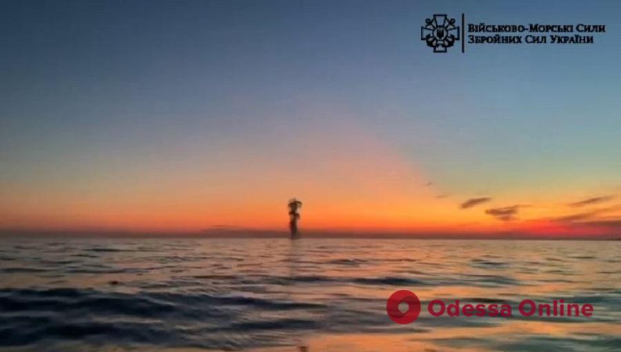 В Одесской области военные обнаружили и ликвидировали очередную морскую мину (видео)