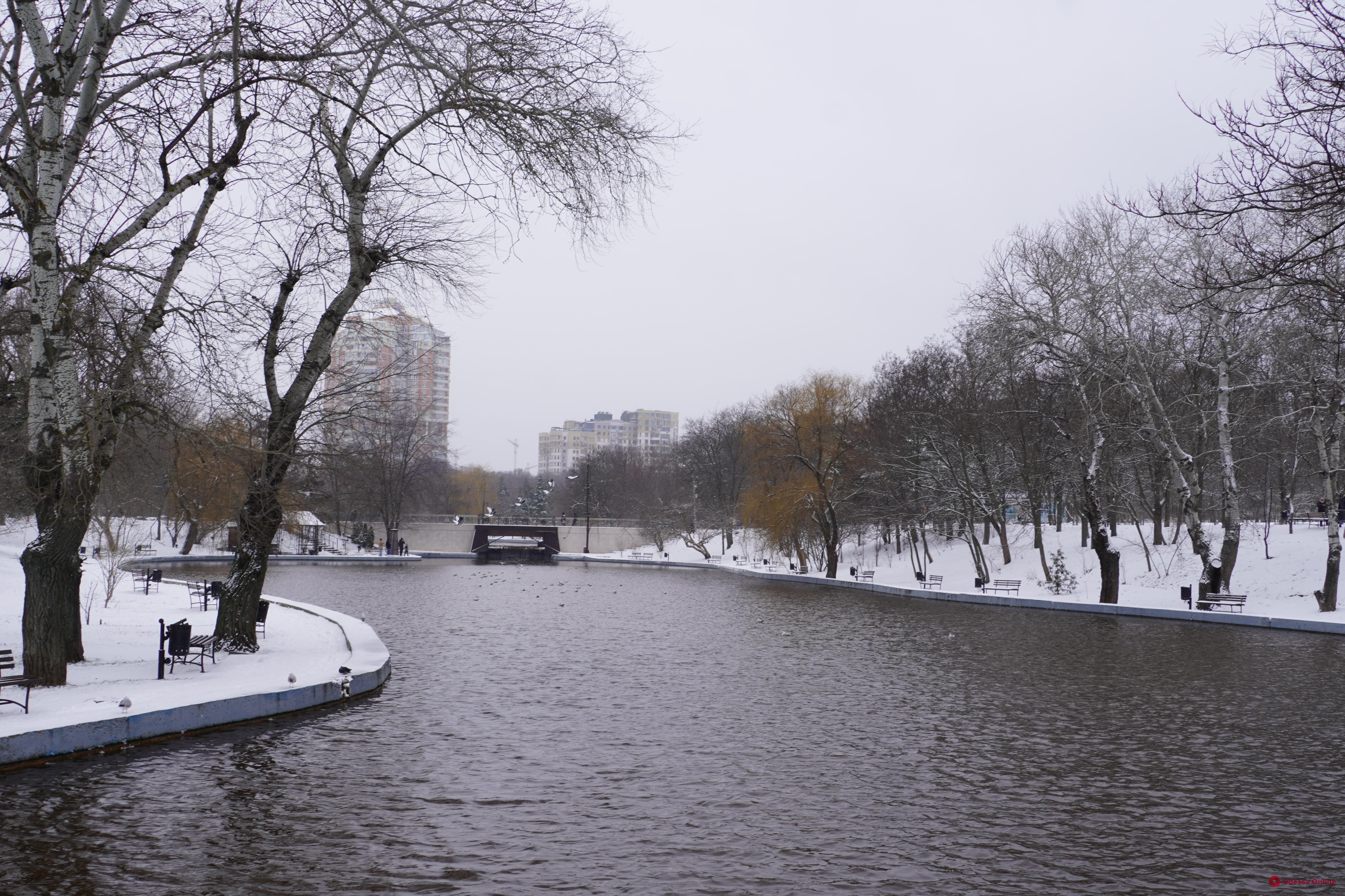 Прогулянка засніженим одеським парком (фоторепортаж)