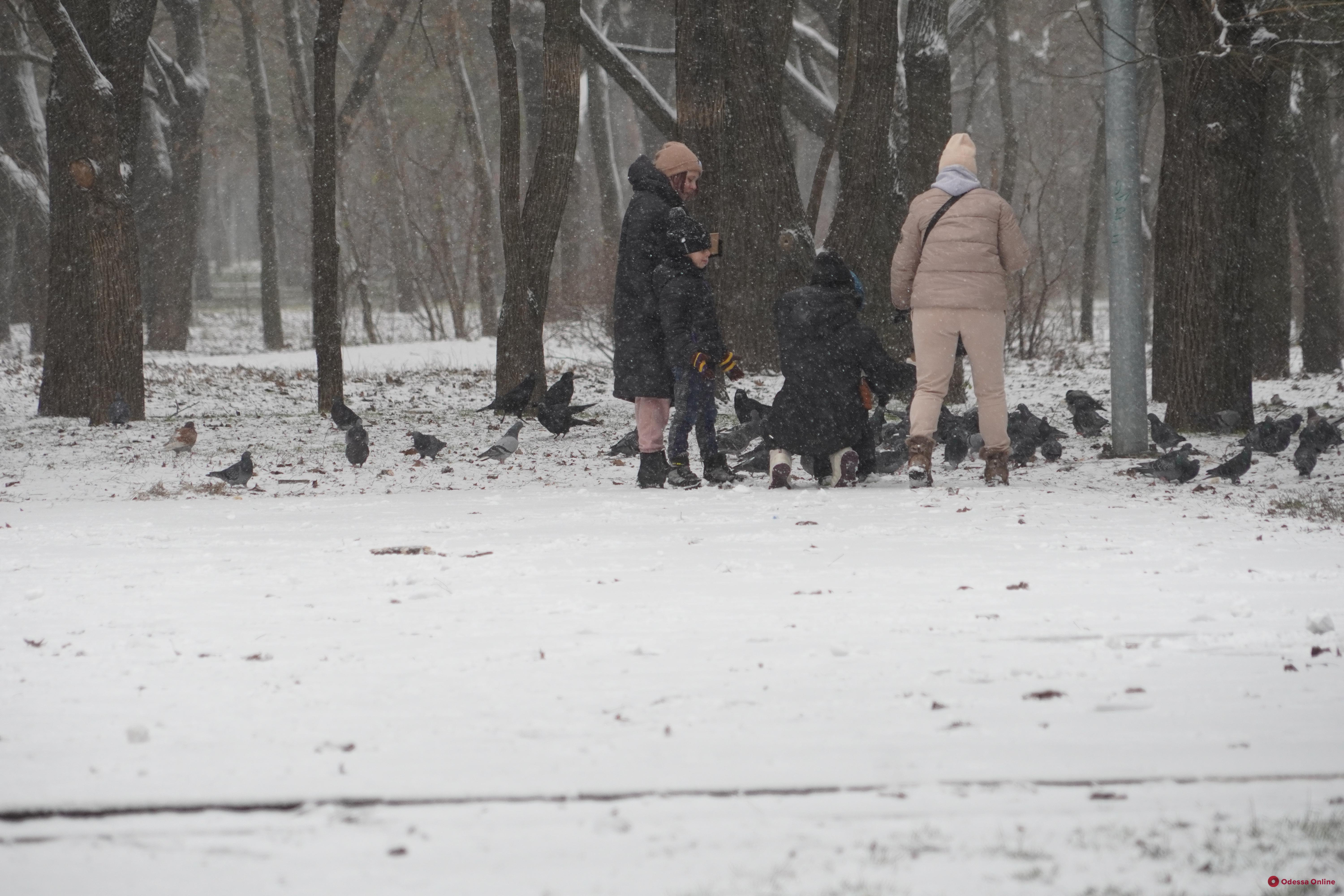 Одесса: снежный фоторепортаж из парка Победы