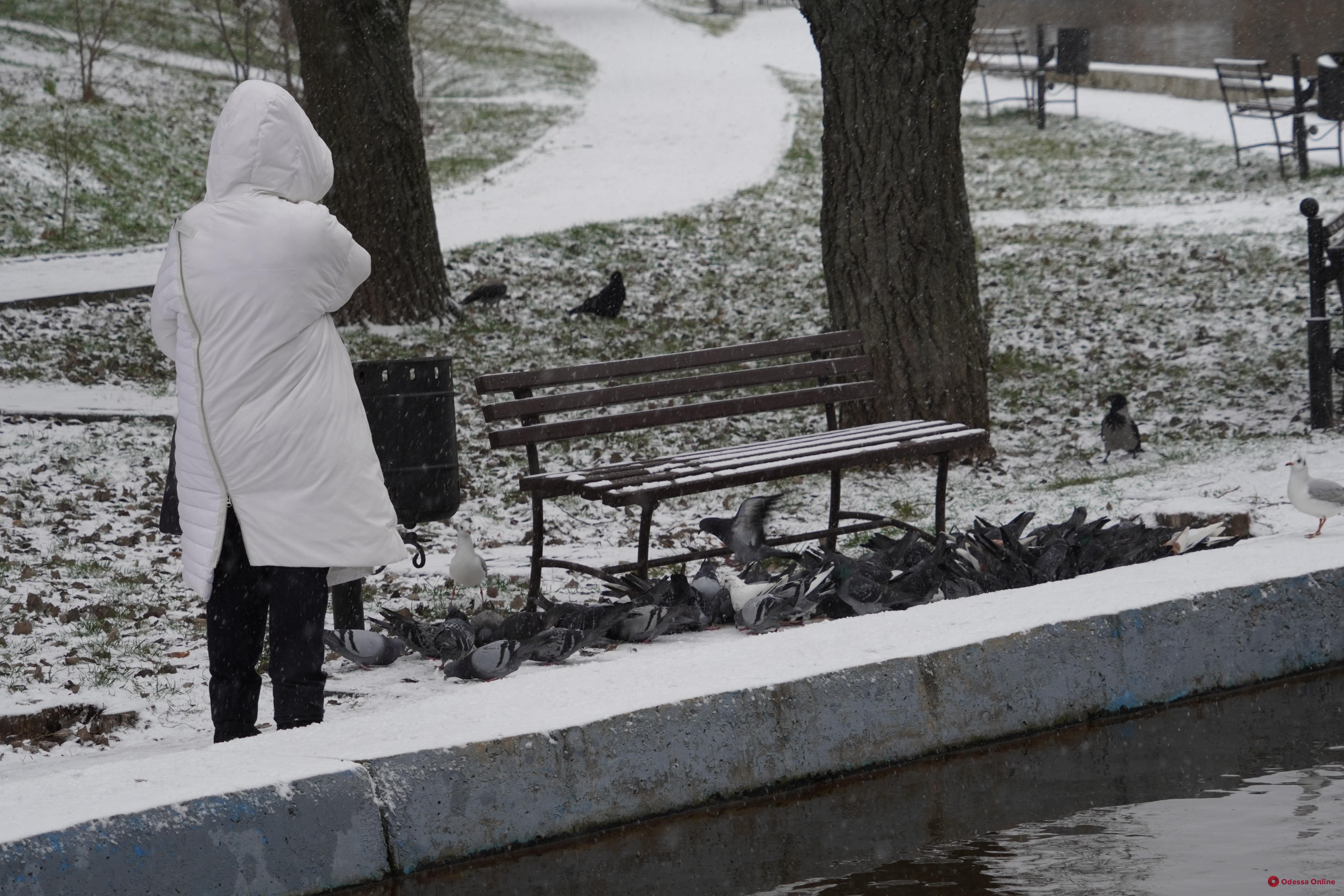 Одеса: сніжний фоторепортаж з парку Перемоги