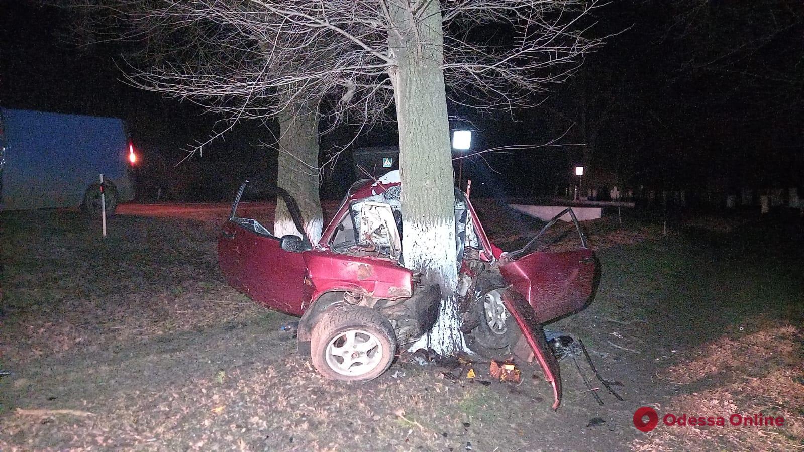 В Одесской области автомобиль врезался в дерево — водитель и его двухлетняя и семилетняя дочери погибли