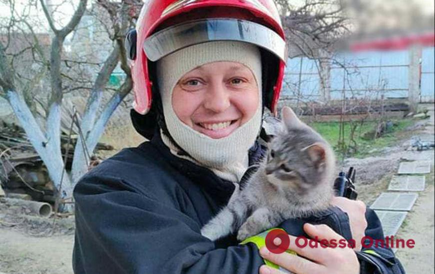 У Білгород-Дністровському районі витягли кошеня з палаючої будівлі