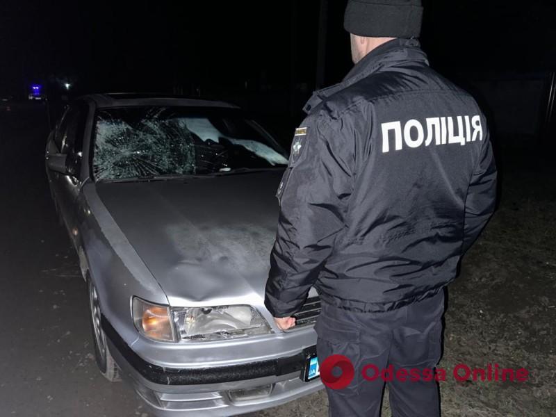 В Одесской области Nissan насмерть сбил пешехода, который шел по обочине