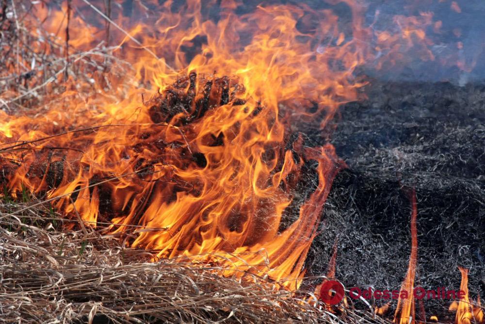 В Одесской области сгорело 3 гектара сухой травы