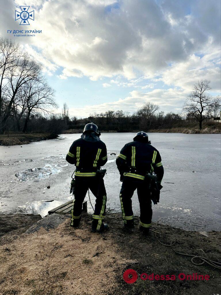 Провалився під кригу: в Одесі чоловік ледь не загинув, рятуючи собаку (фото)