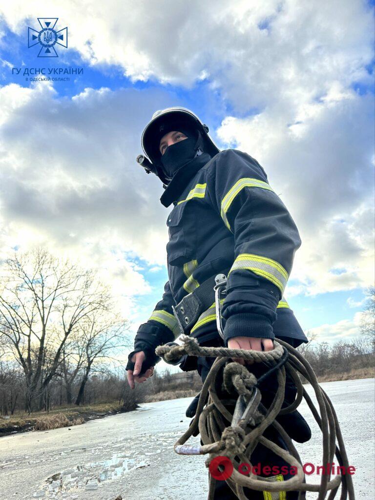 Провалился под лед: в Одессе мужчина чуть не погиб, спасая свою собаку (фото)