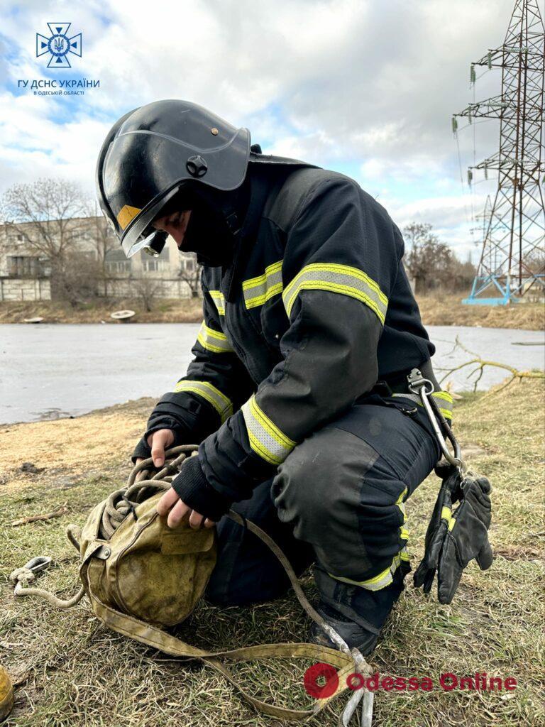 Провалился под лед: в Одессе мужчина чуть не погиб, спасая свою собаку (фото)