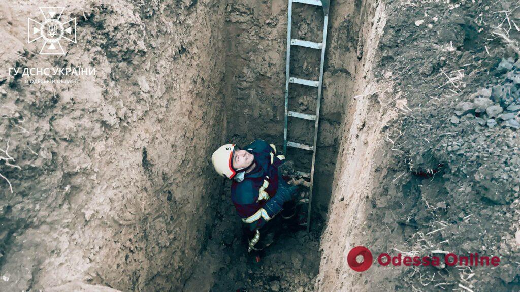 В Одесі за допомогою екскаватора врятували цуценя, яке впало в яму (фото, відео)
