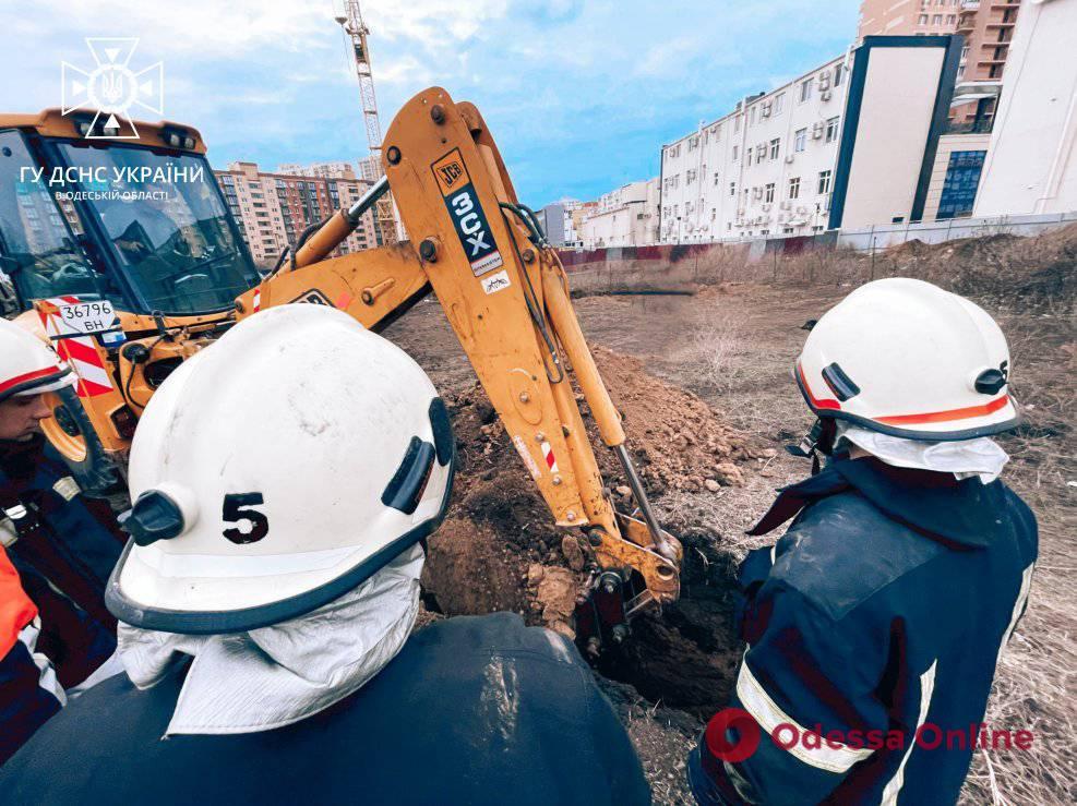 В Одесі за допомогою екскаватора врятували цуценя, яке впало в яму (фото, відео)