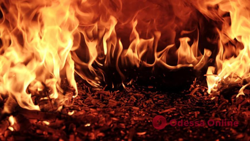 Житель Арциза убил сожительницу, вытащил тело в лесопосадку и сжег