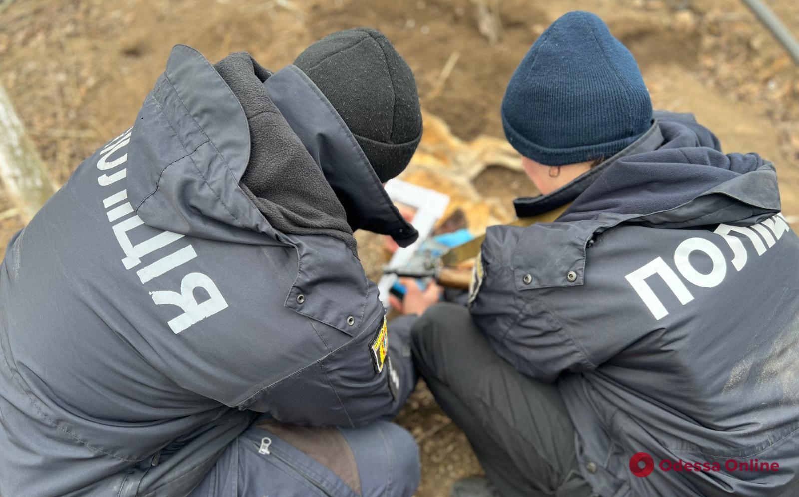 Розстріляв сусідського собаку: мешканець Роздільнянського району може сісти на три роки