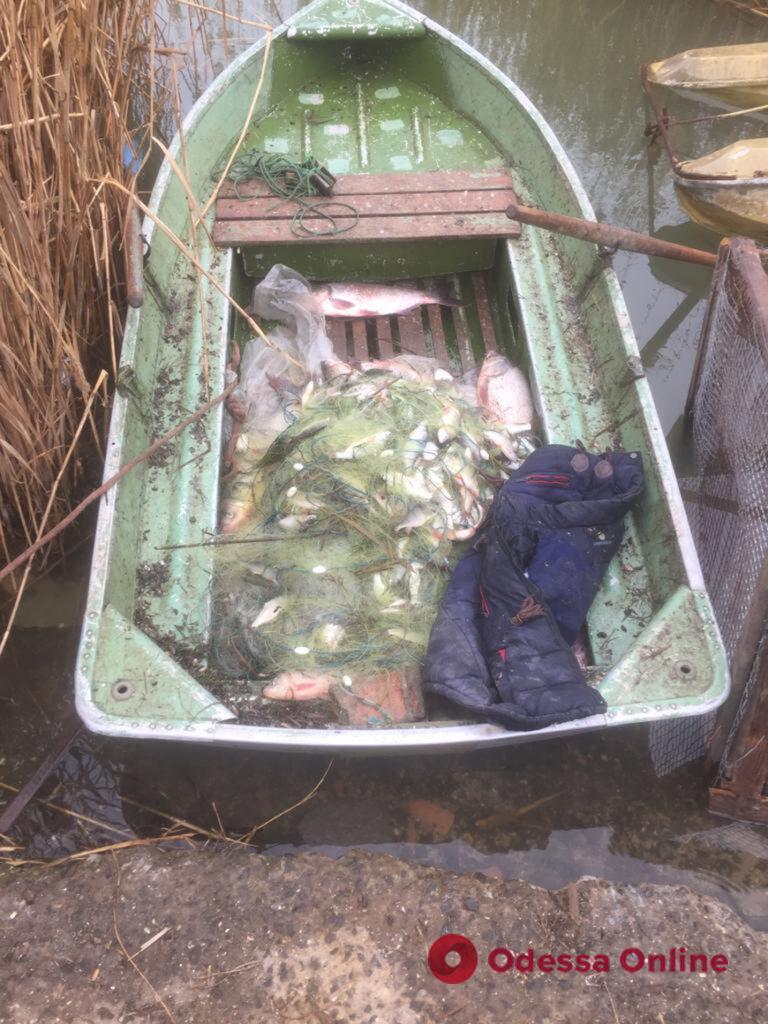Браконьеры на озере Ялпуг наловили рыбы на полмиллиона гривен