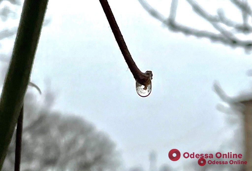 Синоптики дали прогноз погоди в Одесі та області на 14 лютого