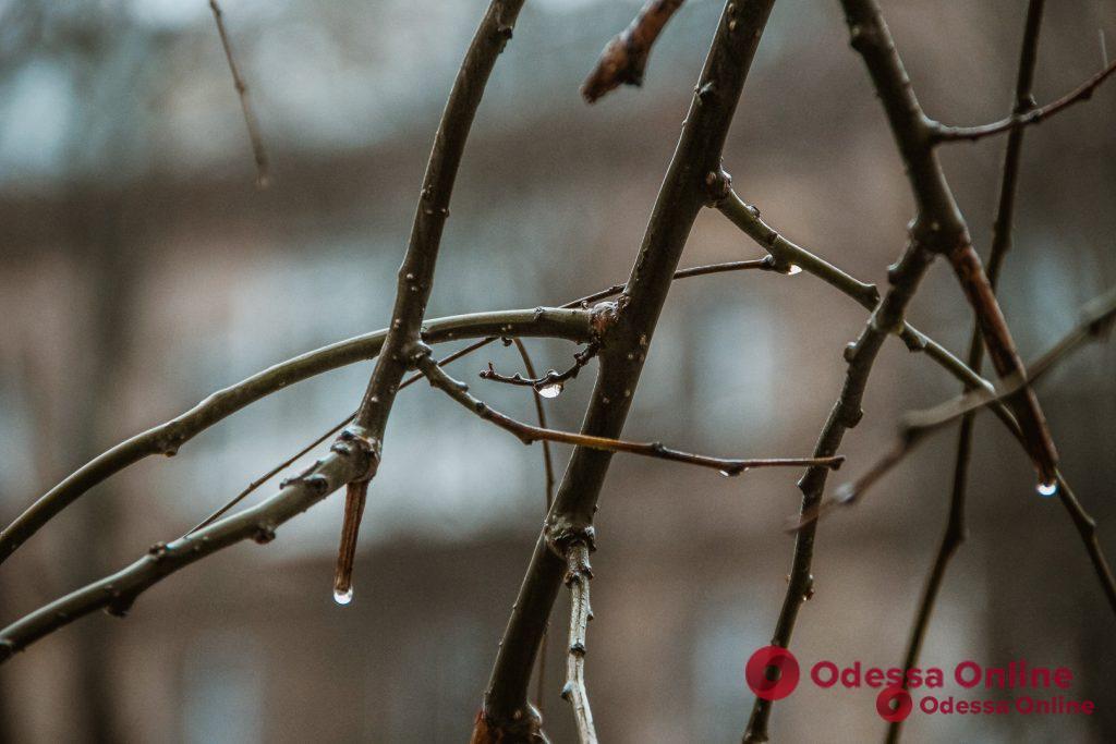 Синоптики дали прогноз погоды в Одессе и области на 27 февраля