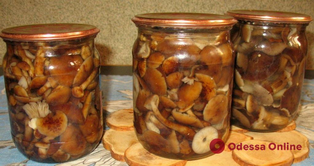 В Одесской области девушка отравилась грибами, купленными на рынке «Привоз»