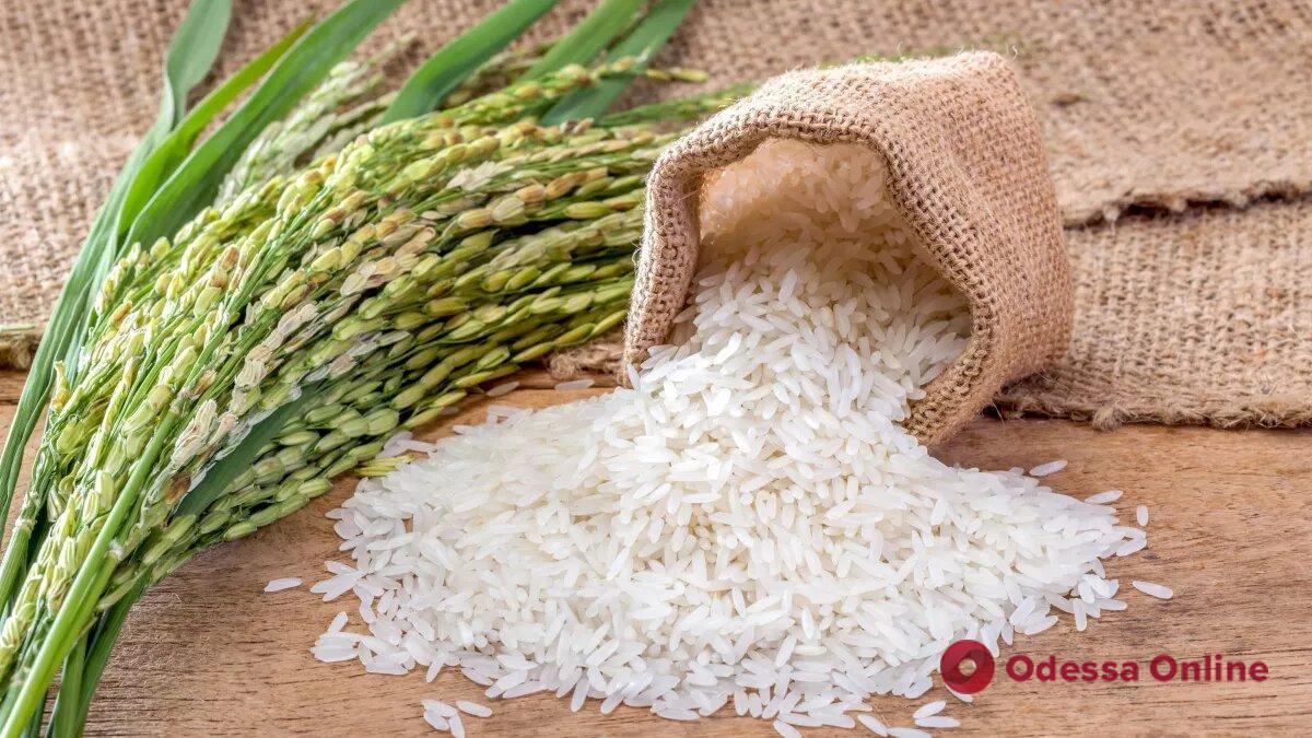 В Одесскую область мог попасть итальянский рис с повышенным содержанием кадмия