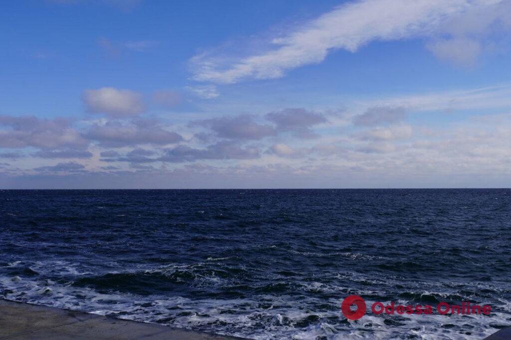 Солнечные февральские пляжи в Одессе: прозрачный воздух, жадные чайки и фактурное небо (фоторепортаж)