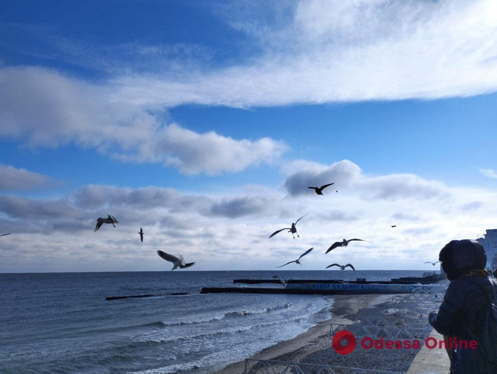 Солнечные февральские пляжи в Одессе: прозрачный воздух, жадные чайки и фактурное небо (фоторепортаж)