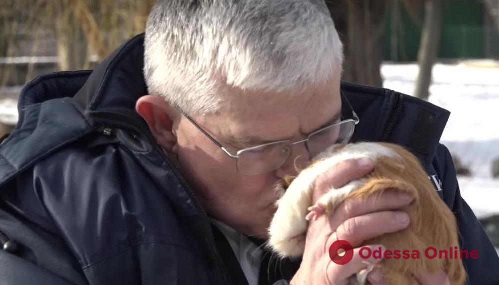 Одеський зоопарк випустив кліп до Дня всіх закоханих (відео)