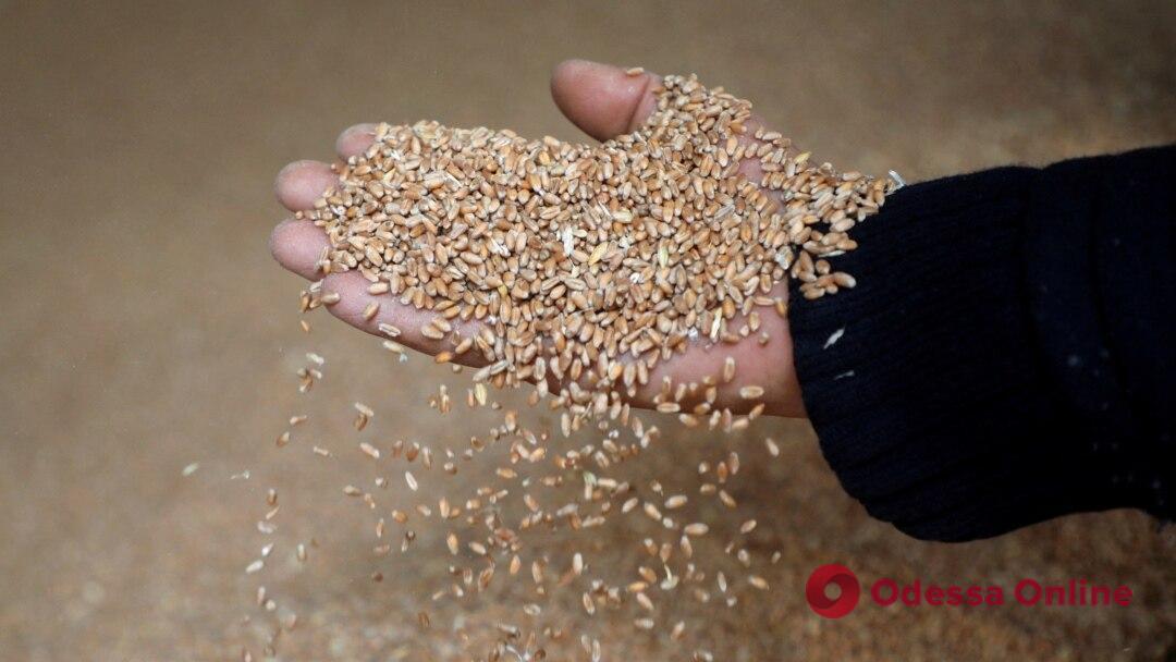 Окупанти вивозять крадене зерно через порт Бердянська