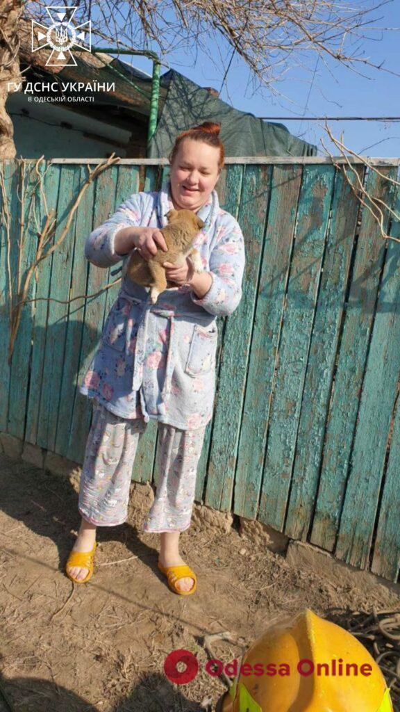 В Одесской области сотрудники ГСЧС спасли щенка из ловушки