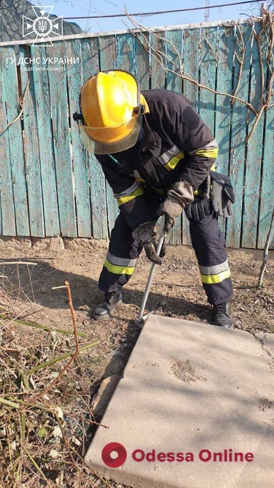 На Одещині рятувальники визволили цуценя з пастки