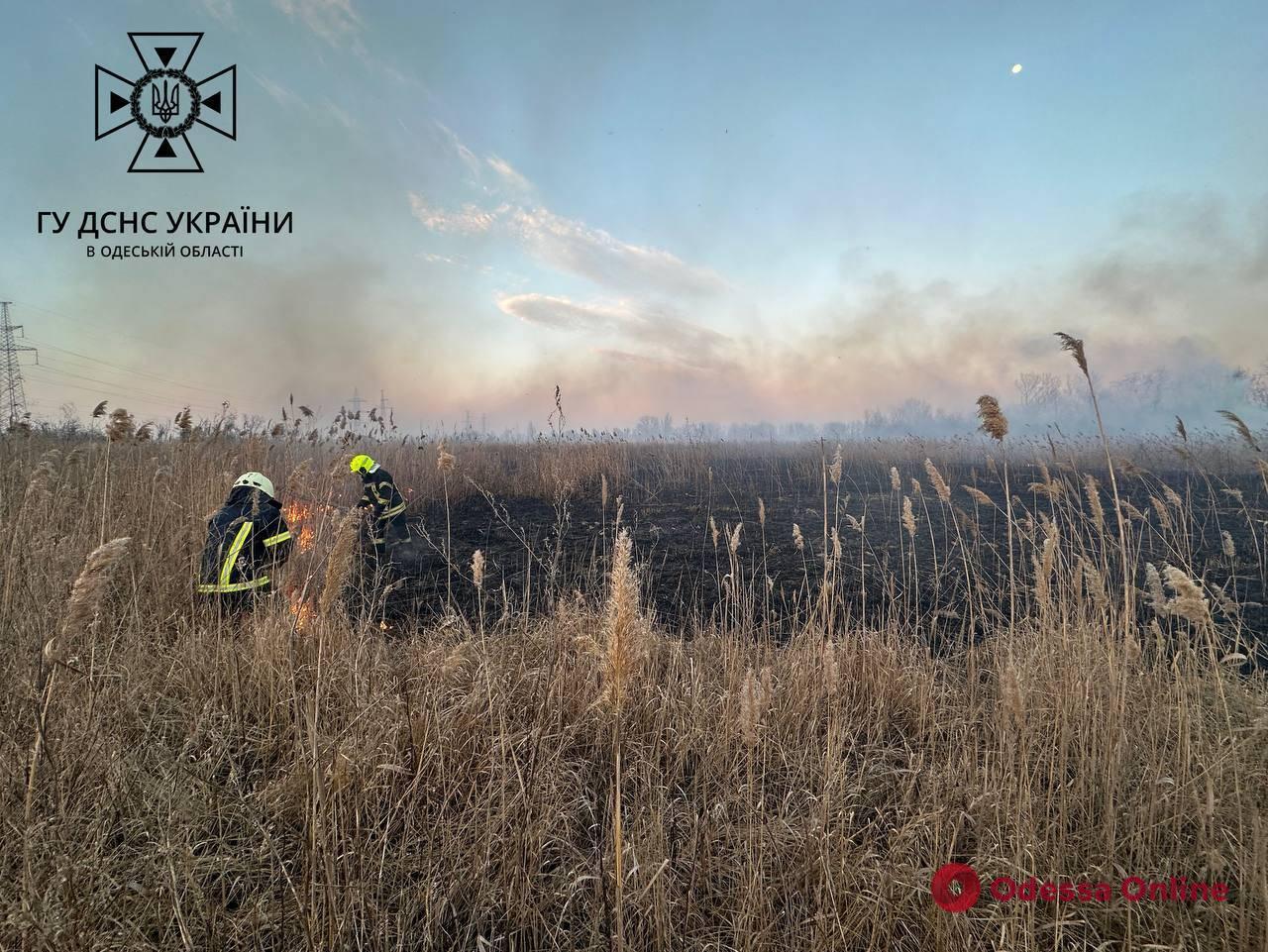 Вогонь охопив п’ять тисяч квадратних метрів: одеські рятувальники гасили палаючий очерет (фото, відео)