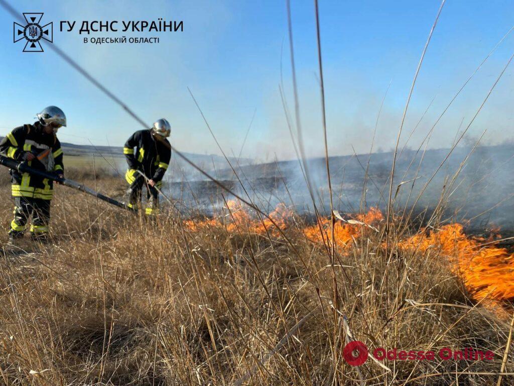 В Одеській області рятувальники ліквідували пожежу в екосистемі (фото, відео)