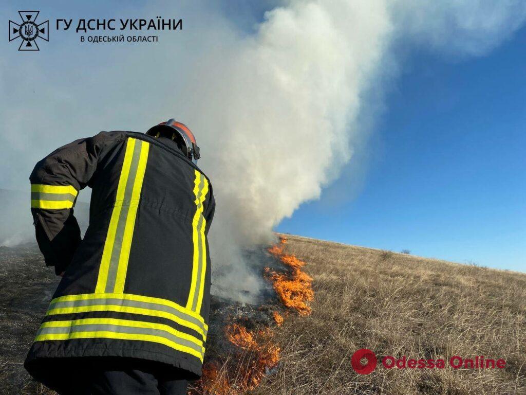 В Одесской области спасатели ликвидировали пожар в экосистеме (фото, видео)