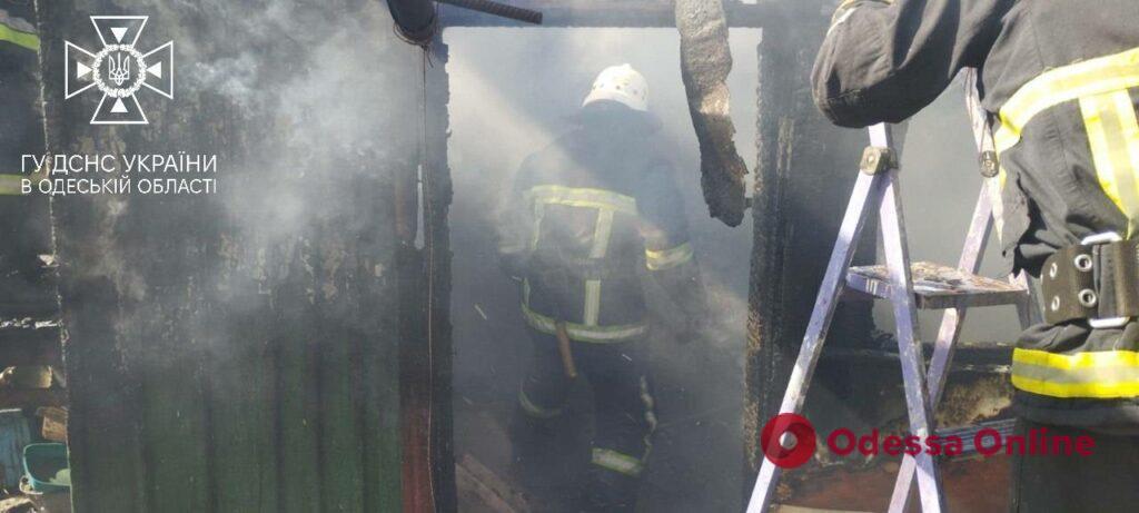 Подольские спасатели ликвидировали пожар в летней кухне и спасли кота