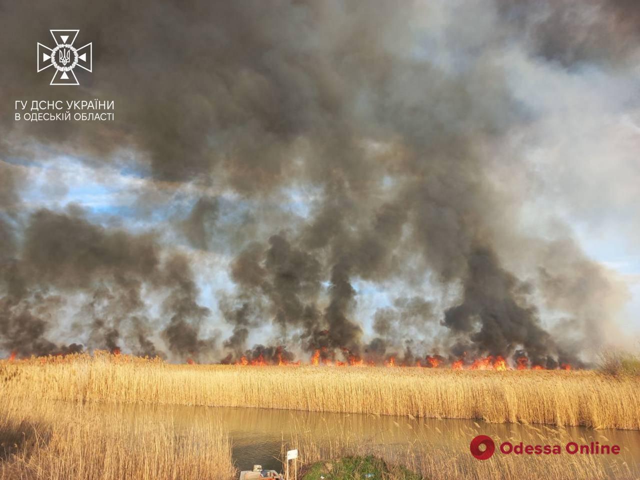 В Одесской области за сутки 15 раз горела сухая трава (фото, видео)